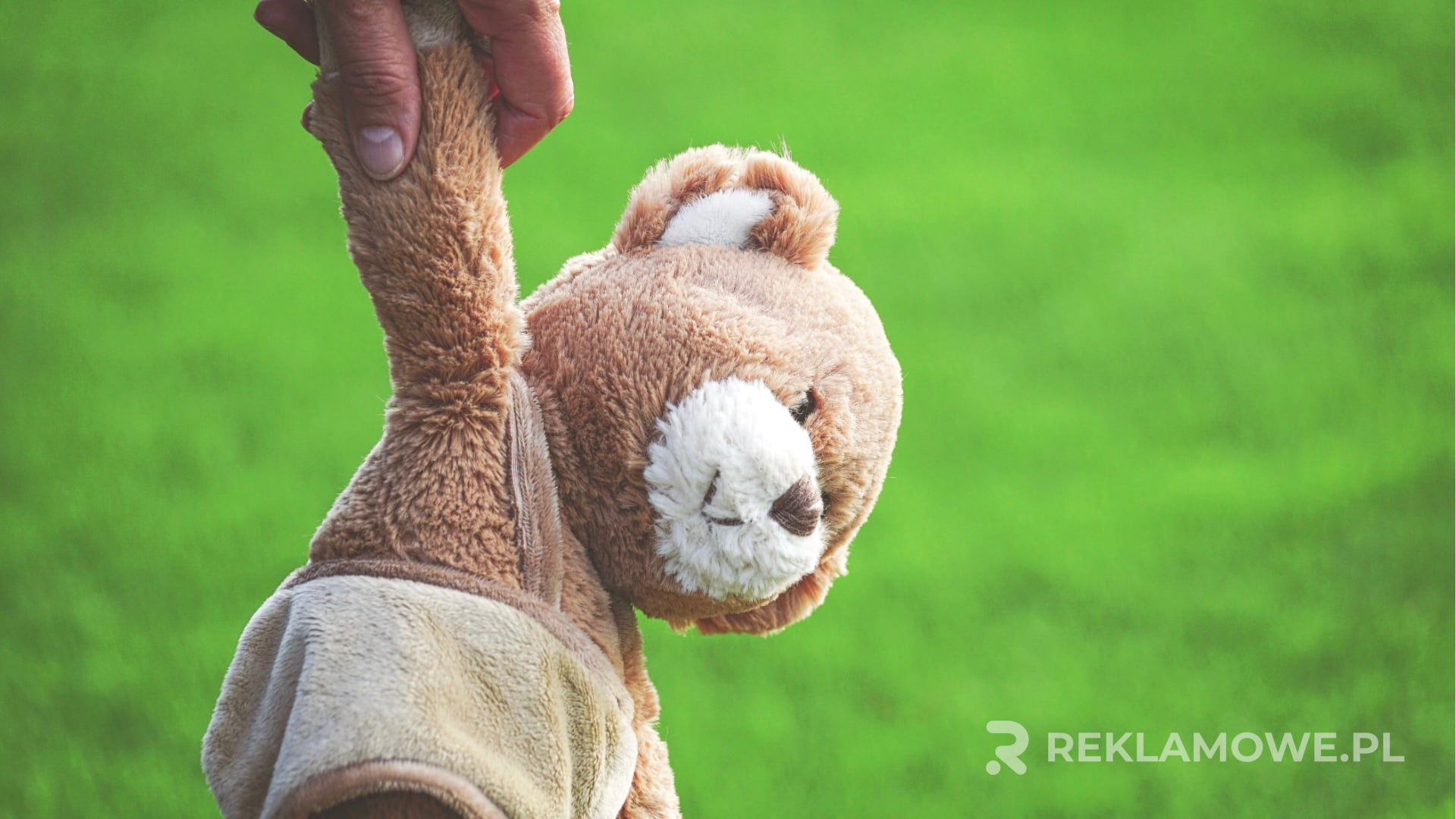 Pluszowy miś na tle grafik finansowych