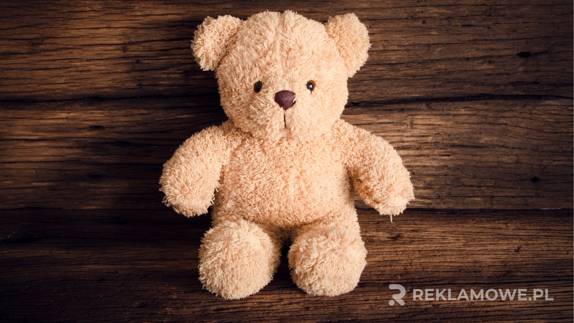 Misie reklamowe użyte w kampanii charytatywnej