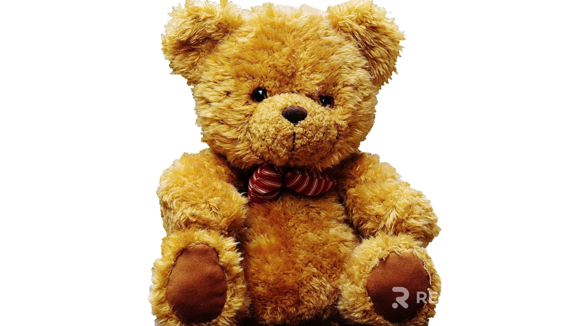 Projektowany na zamówienie miś reklamowy